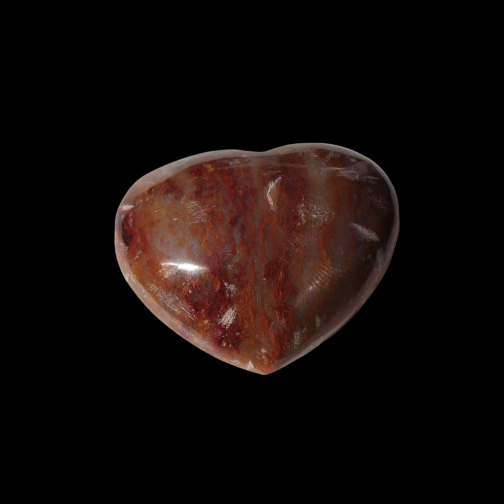 Petrified Wood heart 35mm 24g Rocks and Things