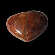 Petrified Wood heart 35mm 24g - Rocks and Things Store