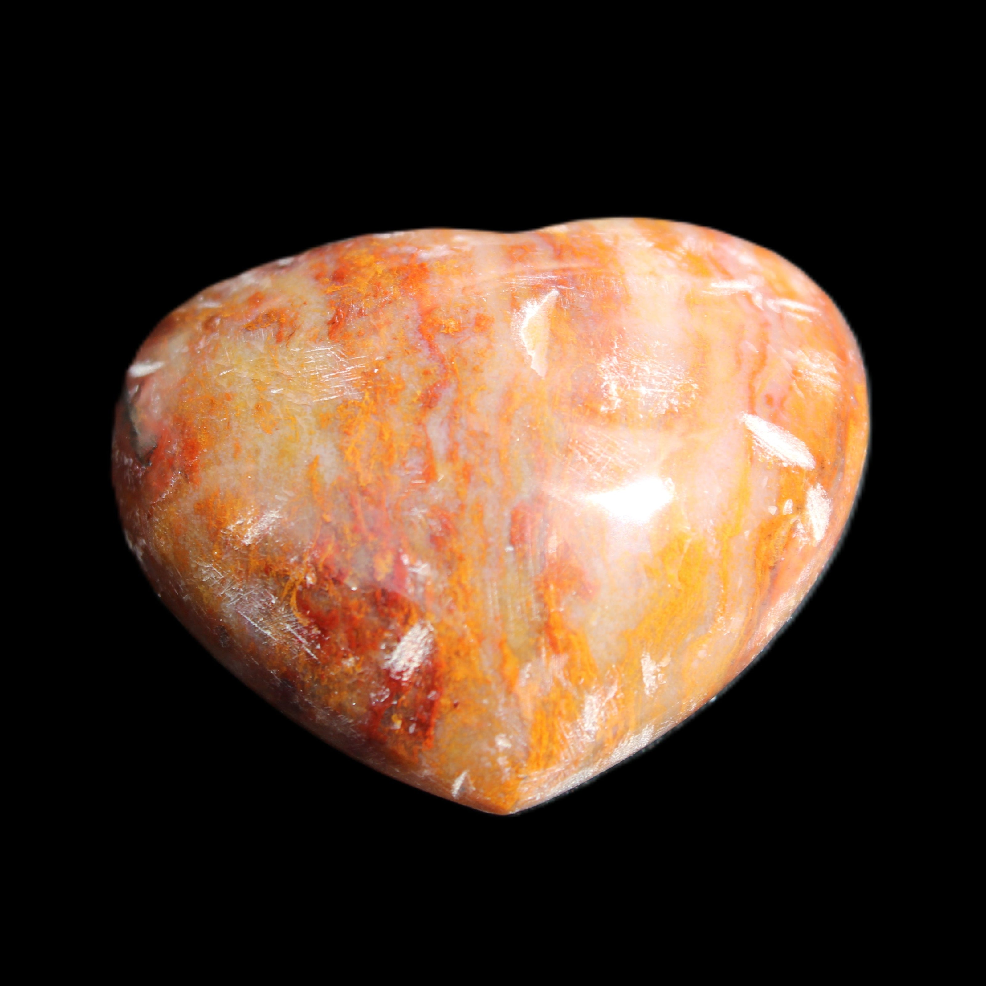 Petrified Wood heart 35mm 24g in sunlight - Rocks and Things Store