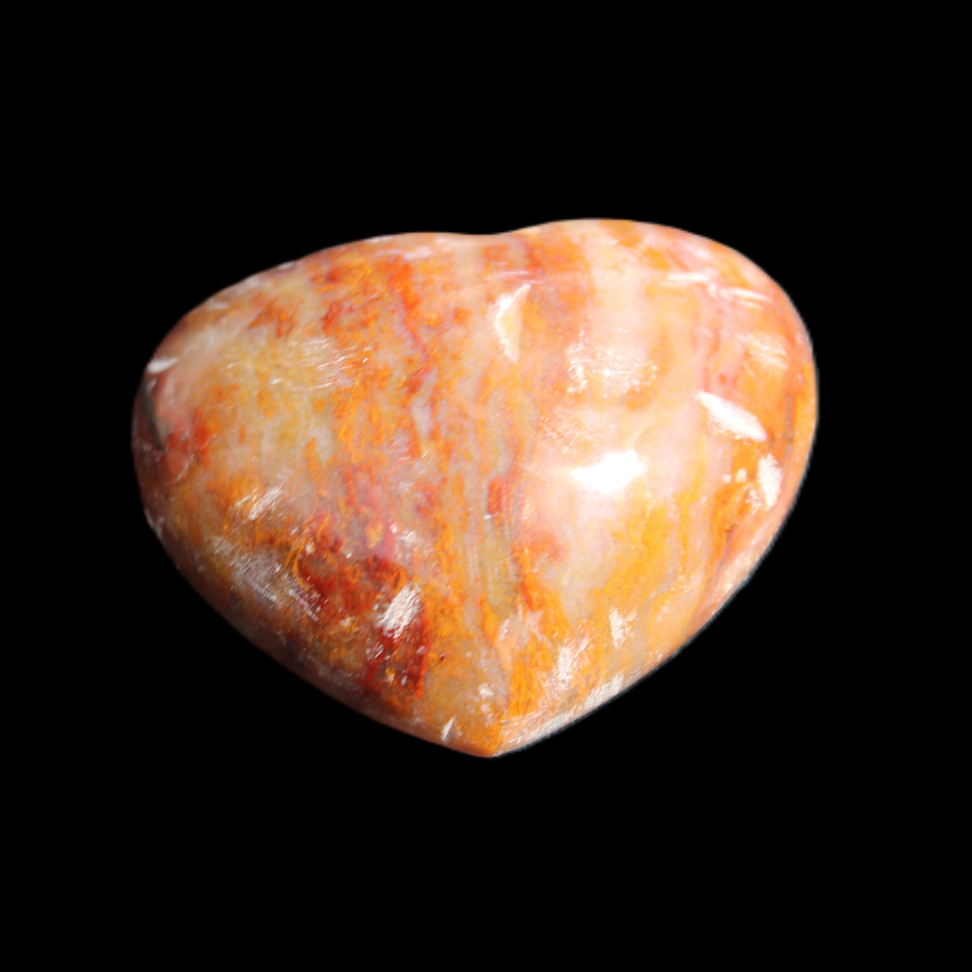 Petrified Wood heart 35mm 24g in sunlight - Rocks and Things Store