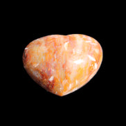 Petrified Wood heart 35mm 24g in sunlight - Rocks and Things Store