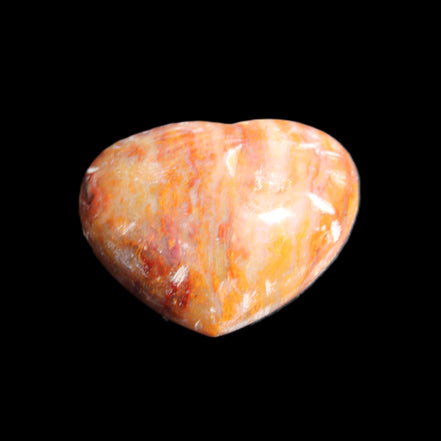 Petrified Wood heart 35mm 24g in sunlight - Rocks and Things Store