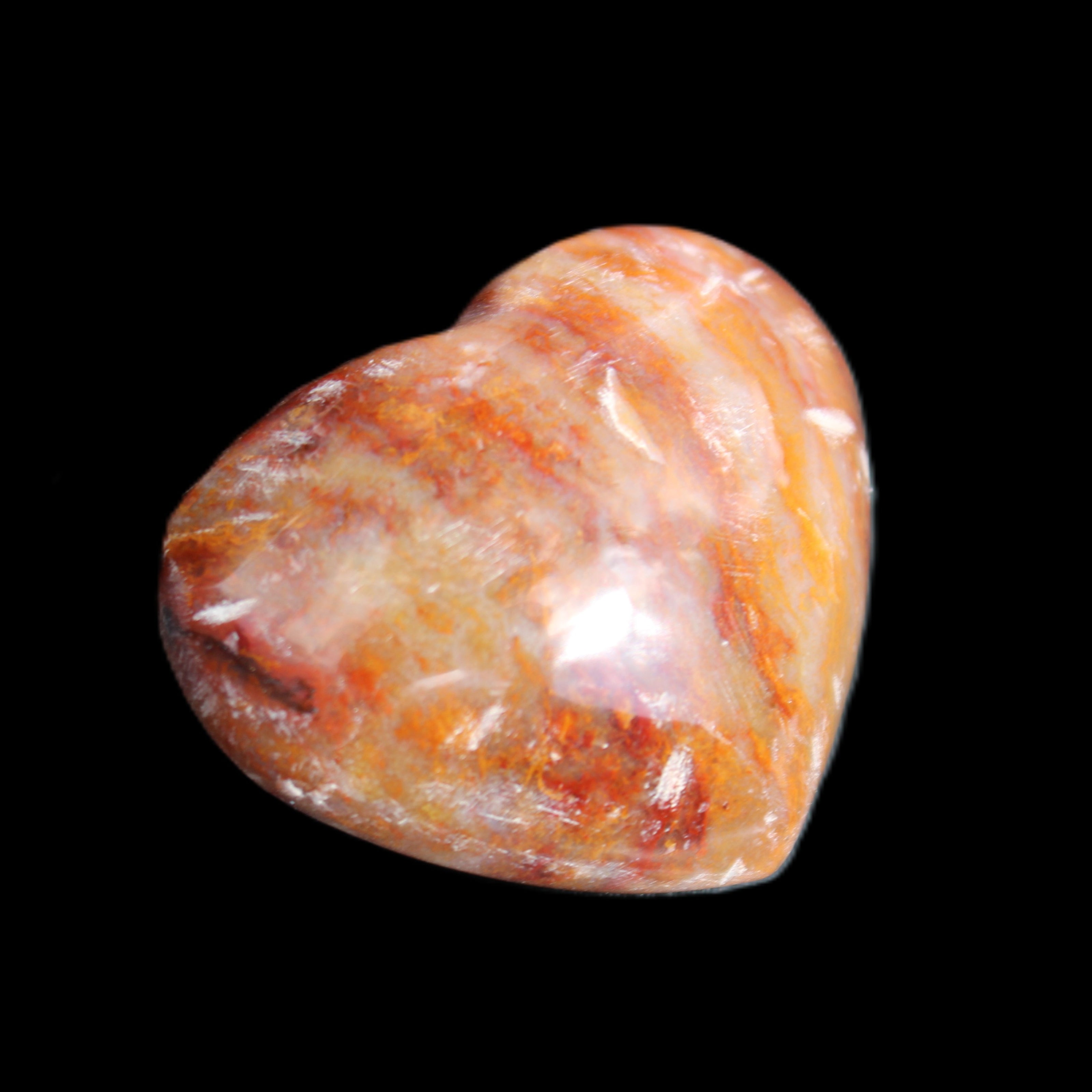 Petrified Wood heart 35mm 24g in sunlight - Rocks and Things Store