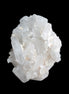 Clear Quartz cluster 100mm 242g in sunlight