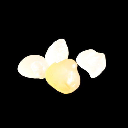 Gobi Alashan candy Agate 4/5 stones 8-12g in sunlight - Rocks and Things Store