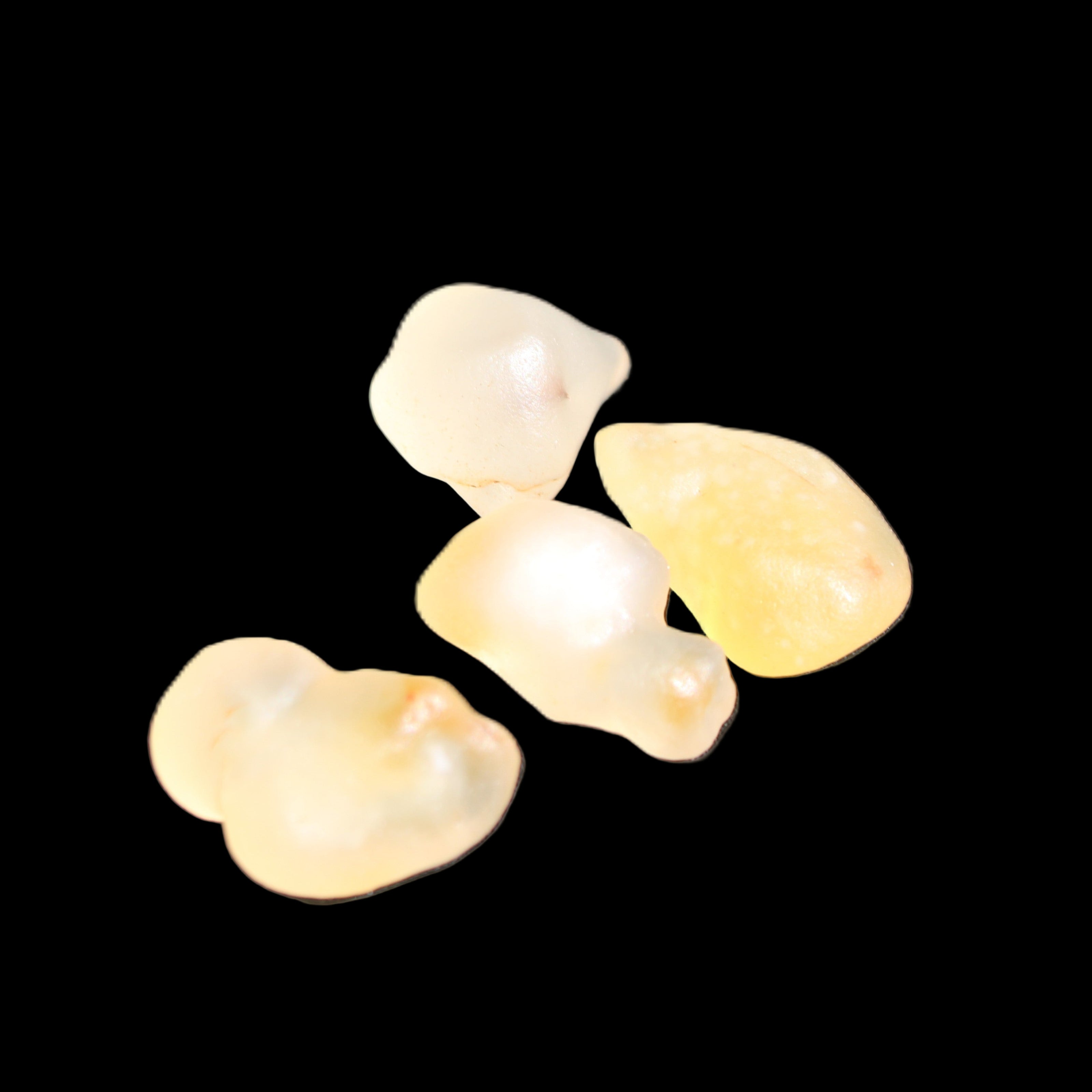 Gobi Alashan candy Agate 4/5 stones 8-12g in sunlight - Rocks and Things Store