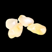 Gobi Alashan candy Agate 4/5 stones 8-12g in sunlight - Rocks and Things Store