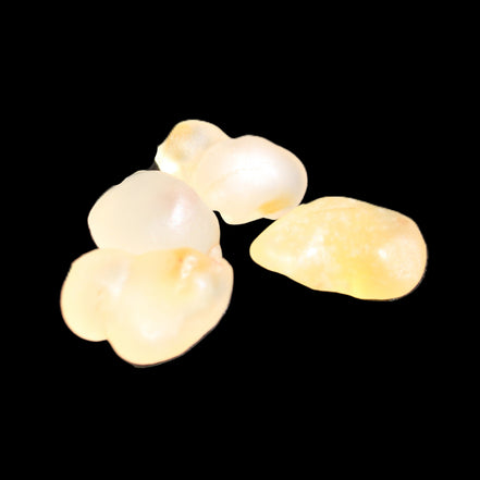 Gobi Alashan candy Agate 4/5 stones 8-12g in sunlight - Rocks and Things Store