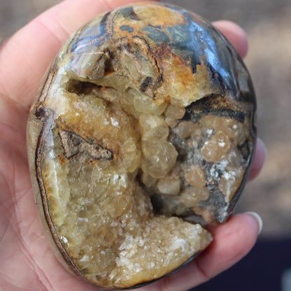 Septarian Dragon Stone geode egg 392g Rocks and Things