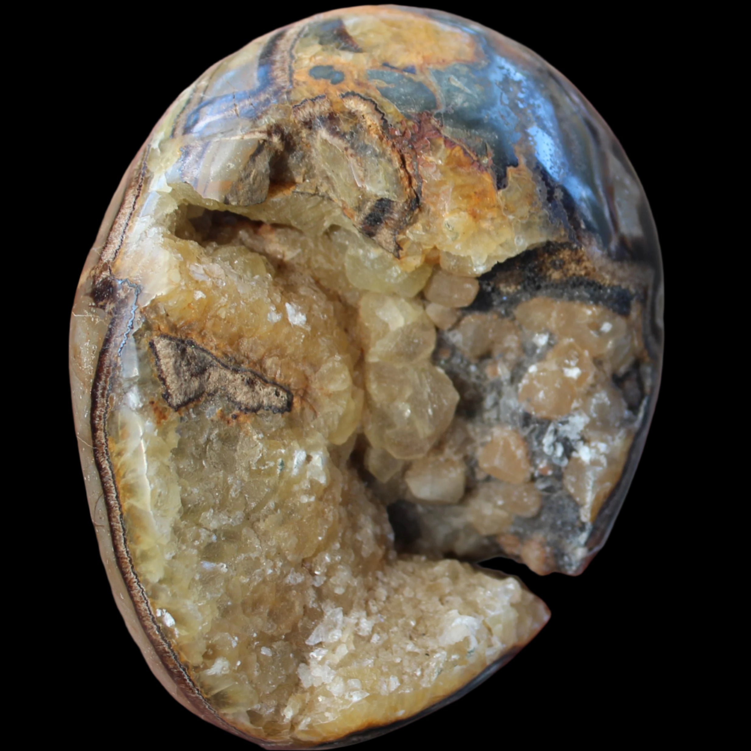 Septarian Dragon Stone geode egg 392g in sunlight - Rocks and Things Store