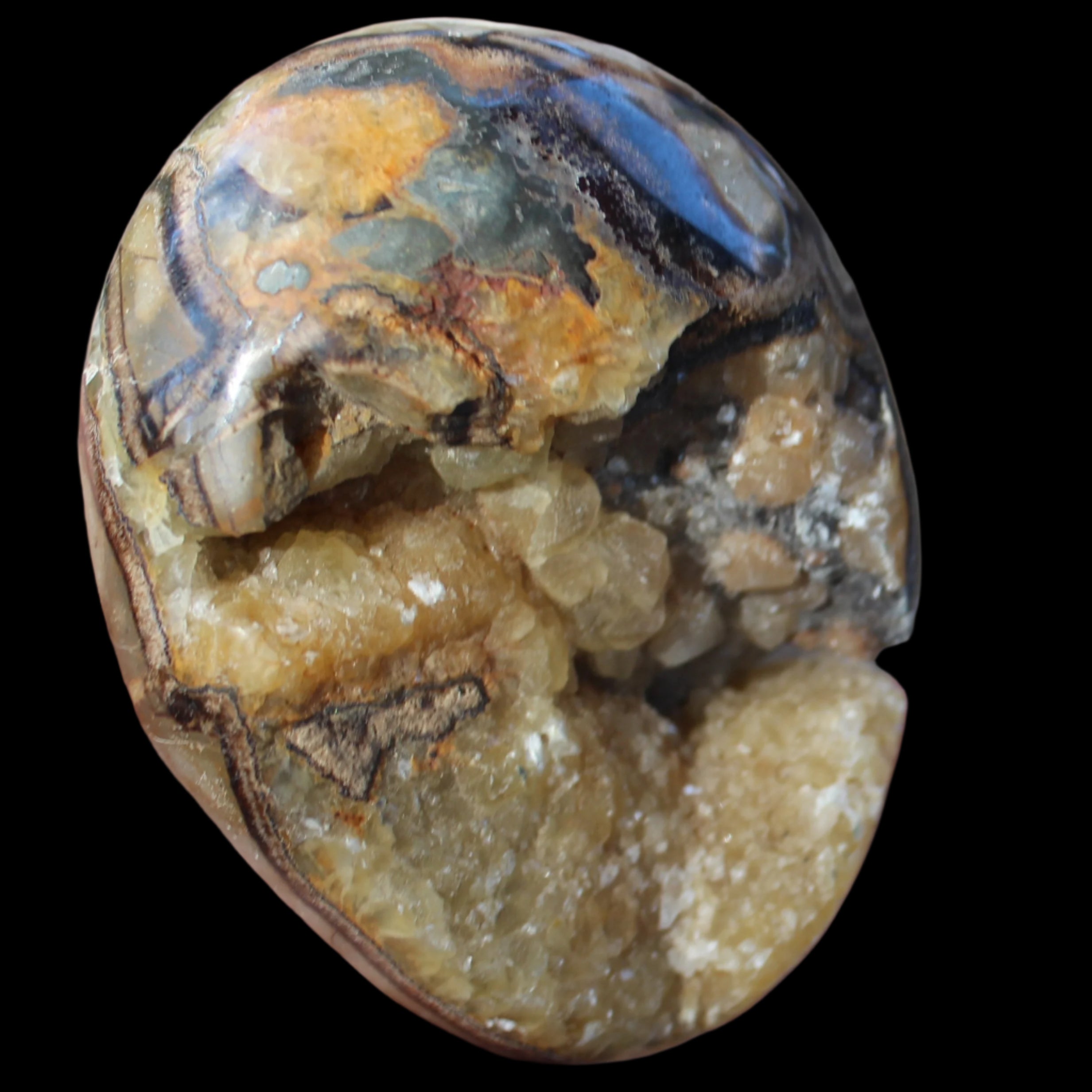 Septarian Dragon Stone geode egg 392g in sunlight - Rocks and Things Store