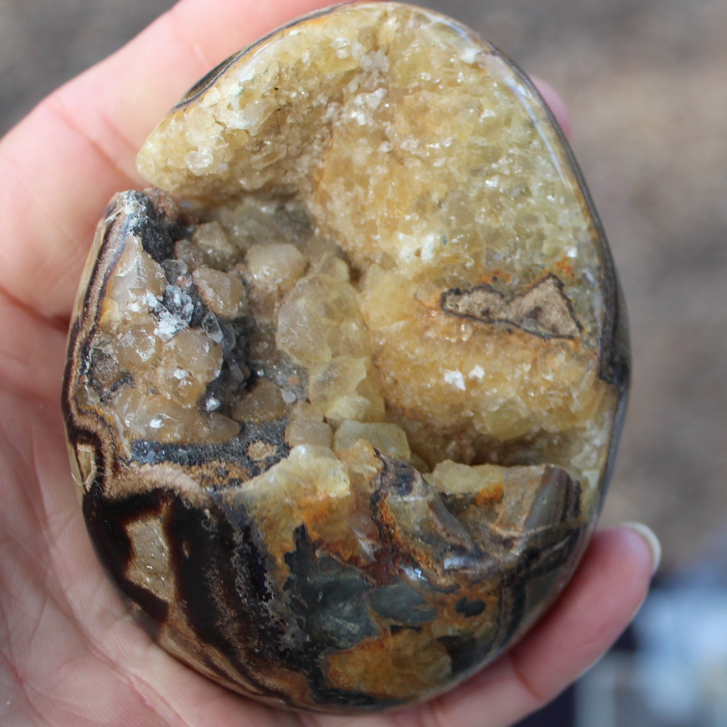 Septarian Dragon Stone geode egg 392g Rocks and Things