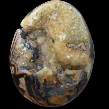 Septarian Dragon Stone geode egg 392g in sunlight - Rocks and Things Store