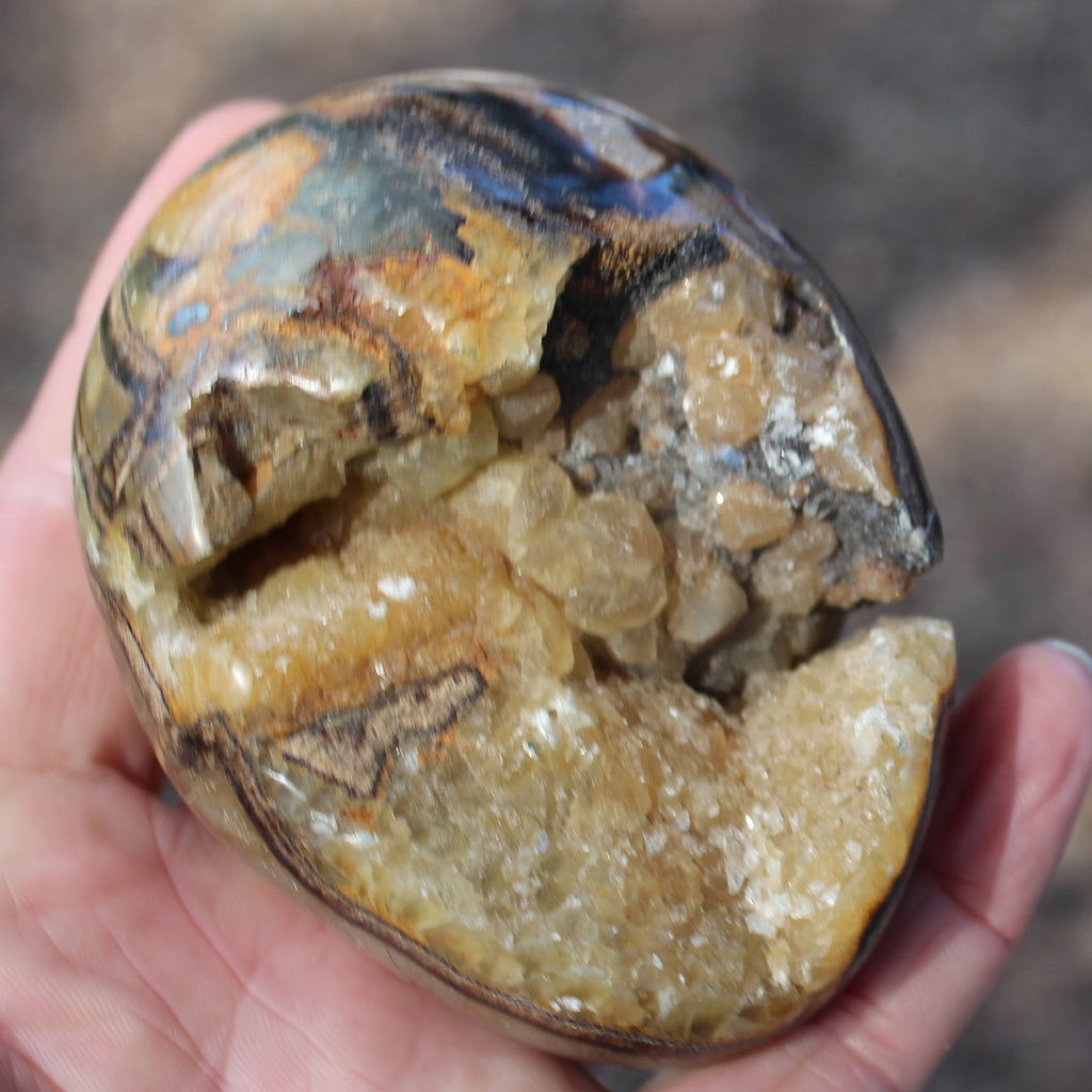 Septarian Dragon Stone geode egg 392g Rocks and Things
