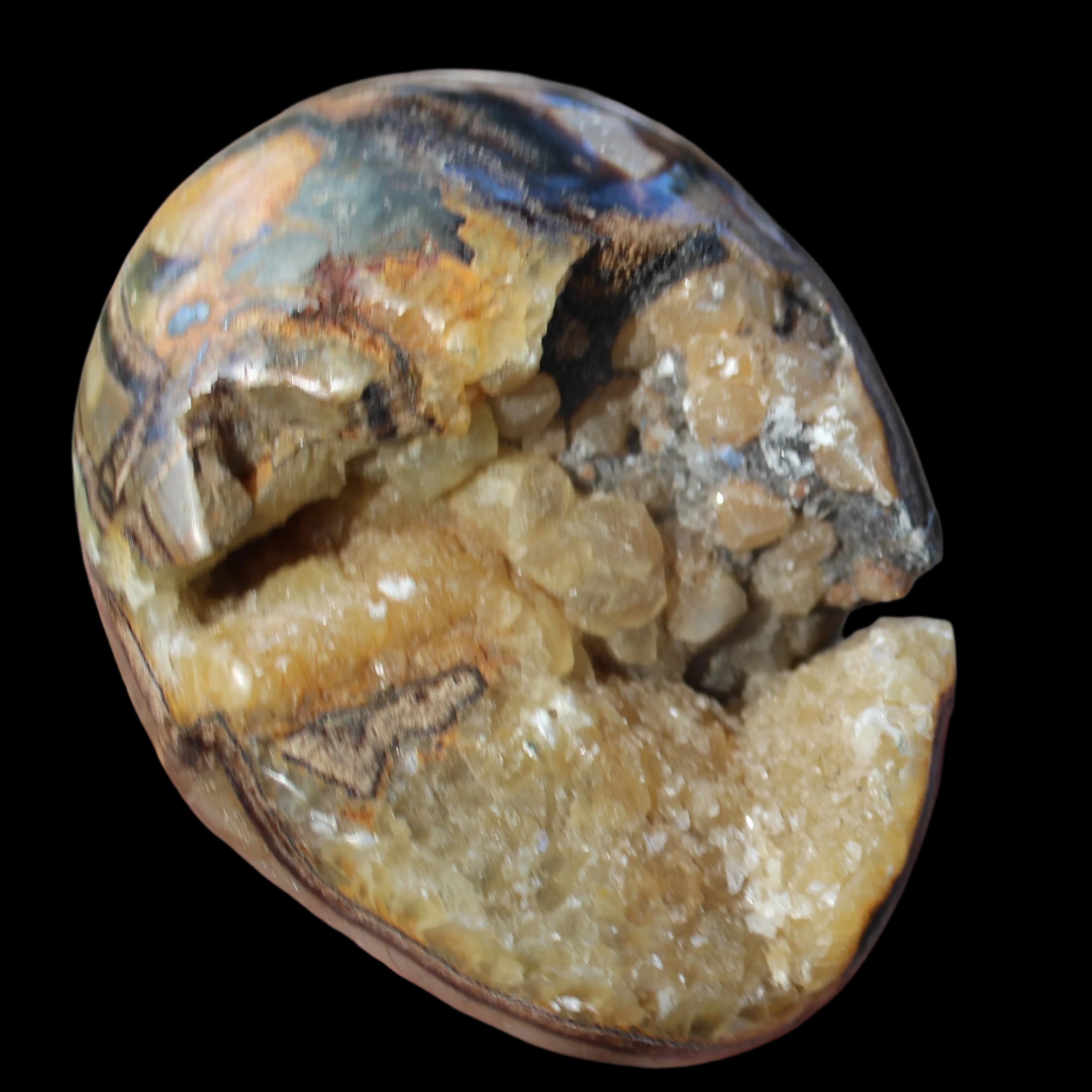 Septarian Dragon Stone geode egg 392g in sunlight - Rocks and Things Store