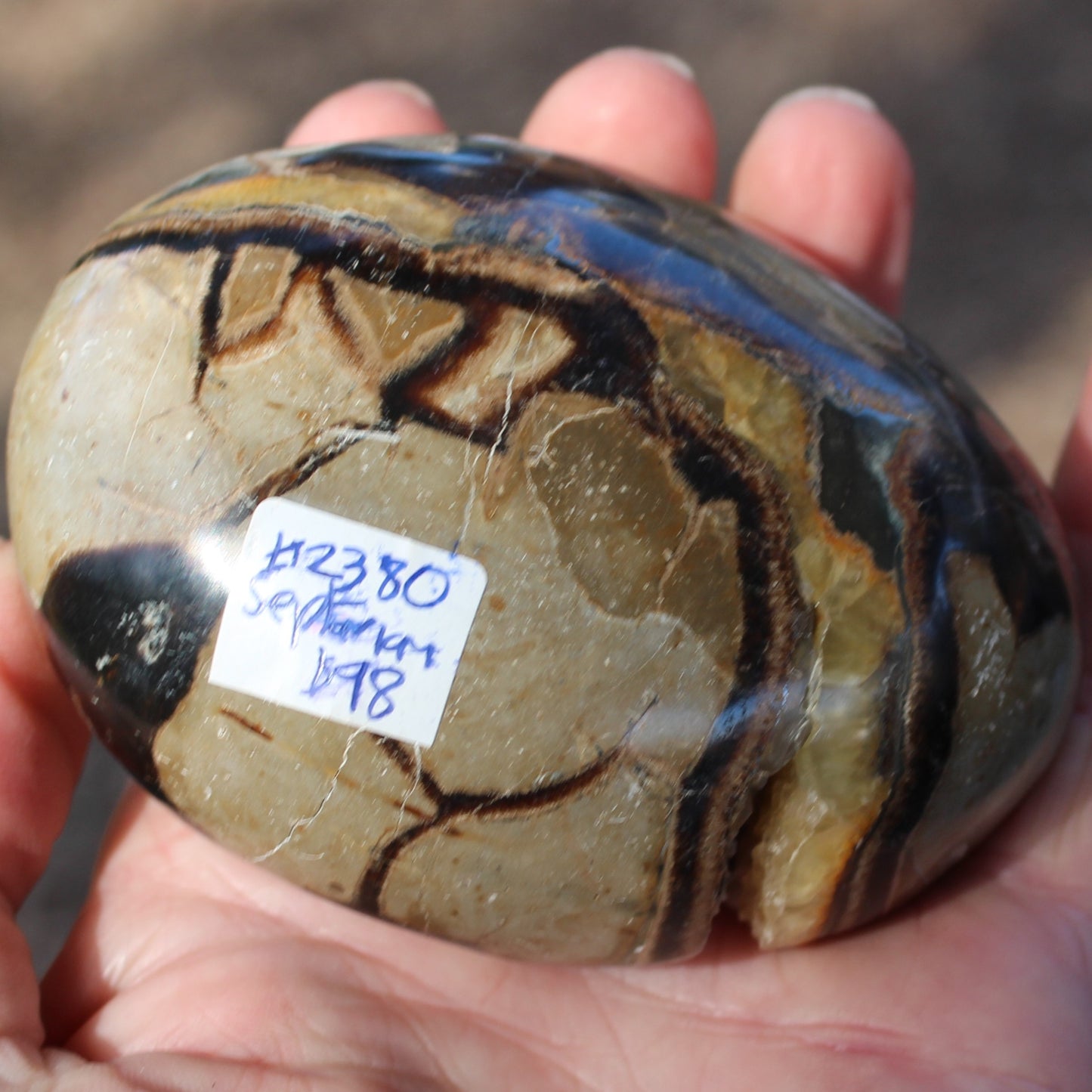 Septarian Dragon Stone geode egg 392g