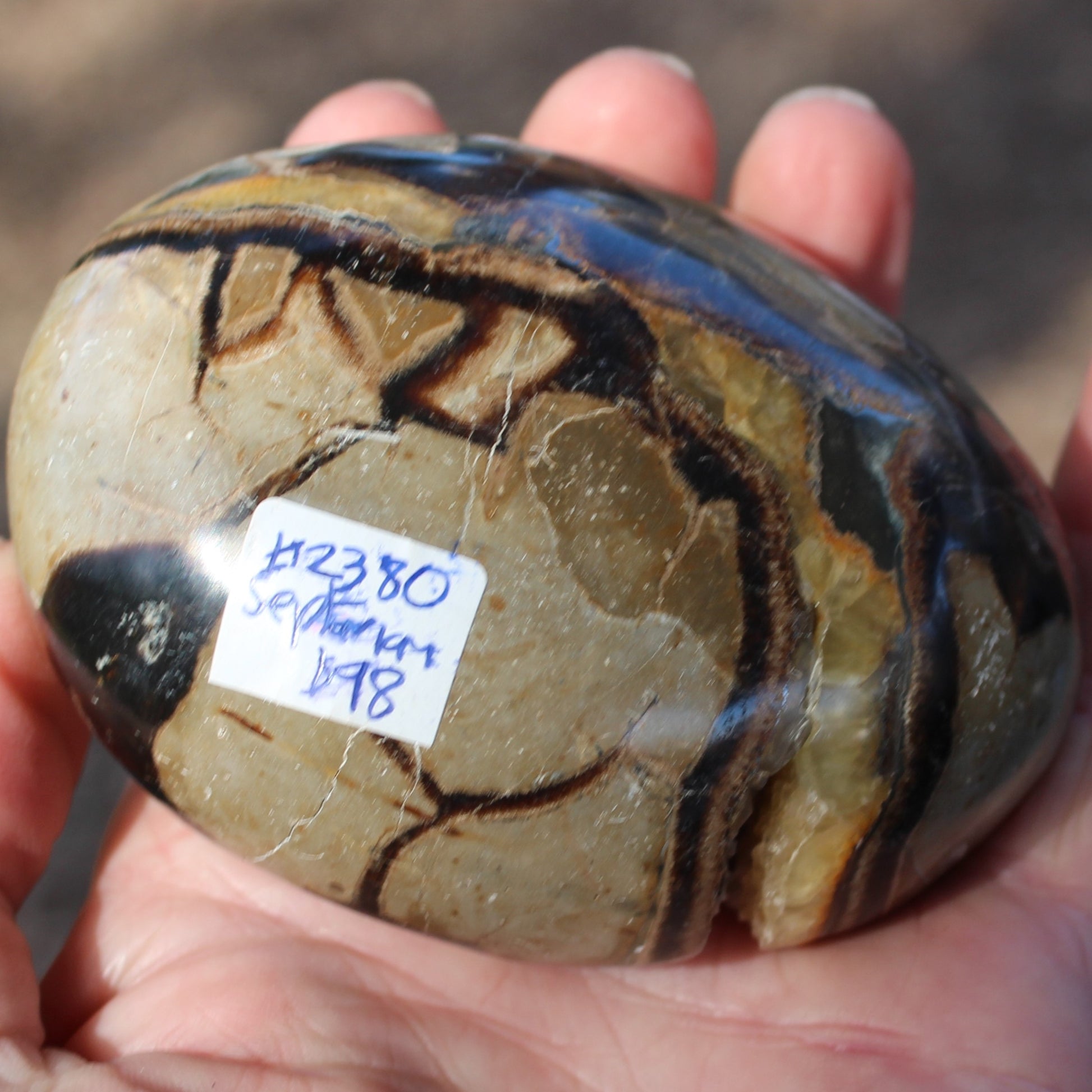 Septarian Dragon Stone geode egg 392g Rocks and Things