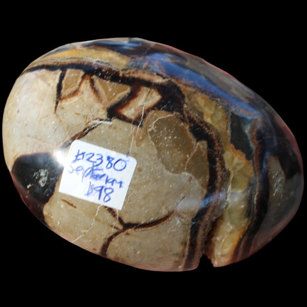 Septarian Dragon Stone geode egg 392g in sunlight - Rocks and Things Store