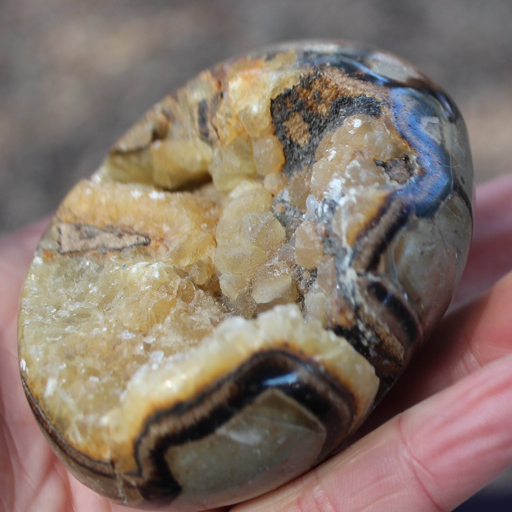 Septarian Dragon Stone geode egg 392g Rocks and Things