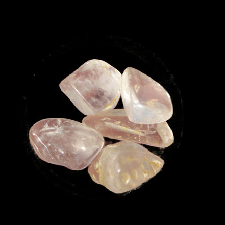 Citrine from Tibet 4/5 crystals 9-11g  in sunshine - Rocks and Things Store
