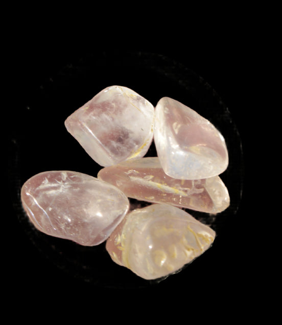Citrine from Tibet 4/5 crystals 9-11g  in sunshine - Rocks and Things Store