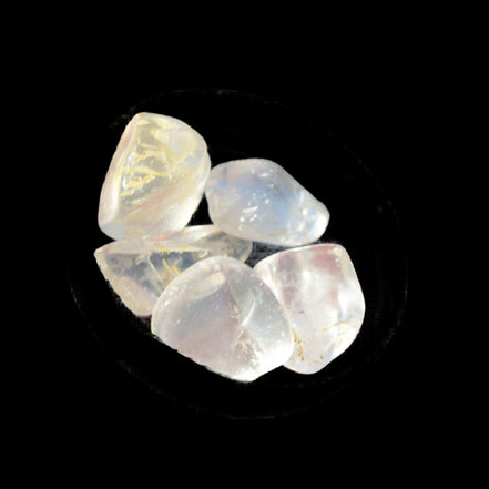 Citrine from Tibet 4/5 crystals 9-11g  in sunshine - Rocks and Things Store
