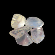 Citrine from Tibet 4/5 crystals 9-11g  in sunshine - Rocks and Things Store