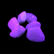 Small polished Kunzite crystals 6-8g Rocks and Things