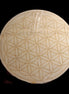 Wooden circle #3 grid 100mm - Rocks and Things Store