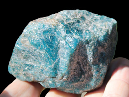 Blue Apatite rough 333g Rocks and Things