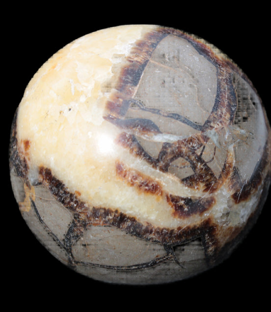 Septarian Dragon Stone sphere 405g in sunlight -  Rocks and Things Store