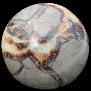 Septarian Dragon Stone sphere 405g in sunlight -  Rocks and Things Store