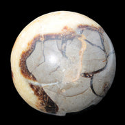 Septarian Dragon Stone sphere 405g in sunlight -  Rocks and Things Store