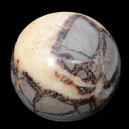 Septarian Dragon Stone sphere 405g in sunlight -  Rocks and Things Store