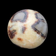 Septarian Dragon Stone sphere 405g in sunlight -  Rocks and Things Store