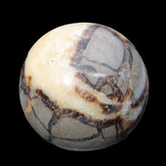 Septarian Dragon Stone sphere 405g in sunlight -  Rocks and Things Store