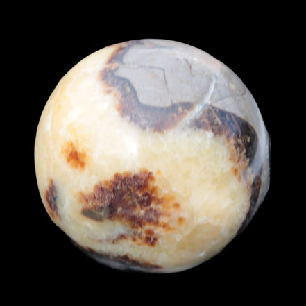 Septarian Dragon Stone sphere 405g in sunlight -  Rocks and Things Store