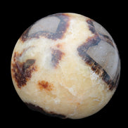 Septarian Dragon Stone sphere 405g in sunlight -  Rocks and Things Store