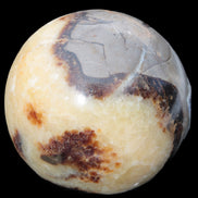 Septarian Dragon Stone sphere 405g in sunlight -  Rocks and Things Store