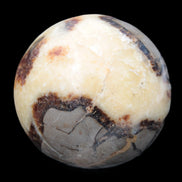 Septarian Dragon Stone sphere 405g in sunlight -  Rocks and Things Store