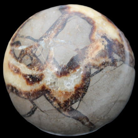 Septarian Dragon stone sphere 59mm 274g - Rocks and Things Store