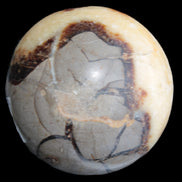 Septarian Dragon stone sphere 59mm 274g - Rocks and Things Store