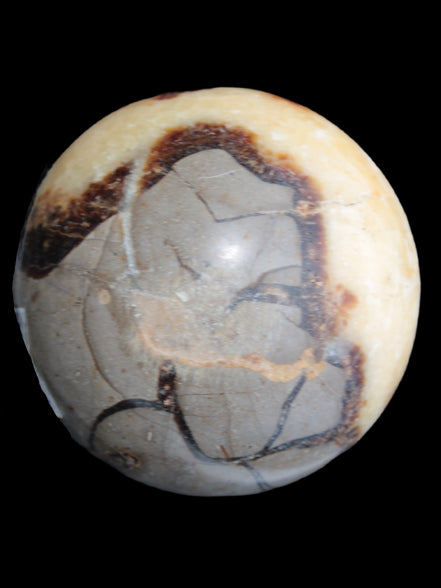 Septarian Dragon stone sphere 59mm 274g - Rocks and Things Store