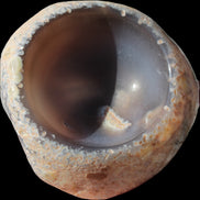 Agate bowl carved 414g Rocks and Things