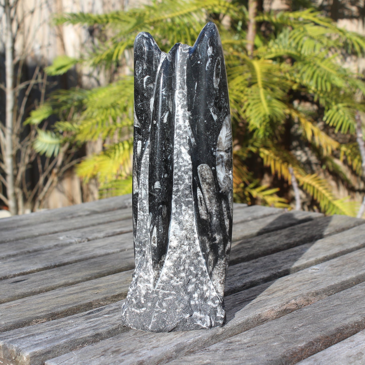 Orthoceras fossil tower 1279g