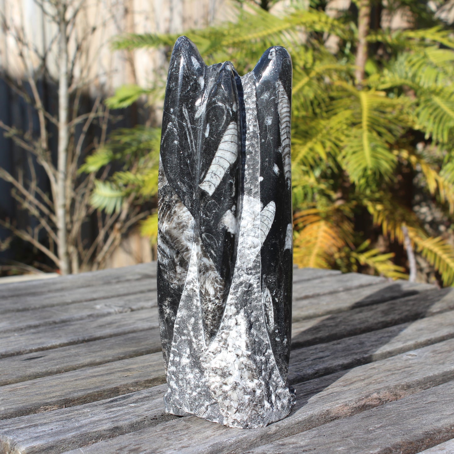Orthoceras fossil tower 1279g