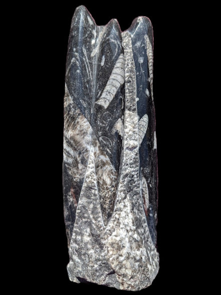 Orthoceras fossil tower 1279g Rocks and Things Store