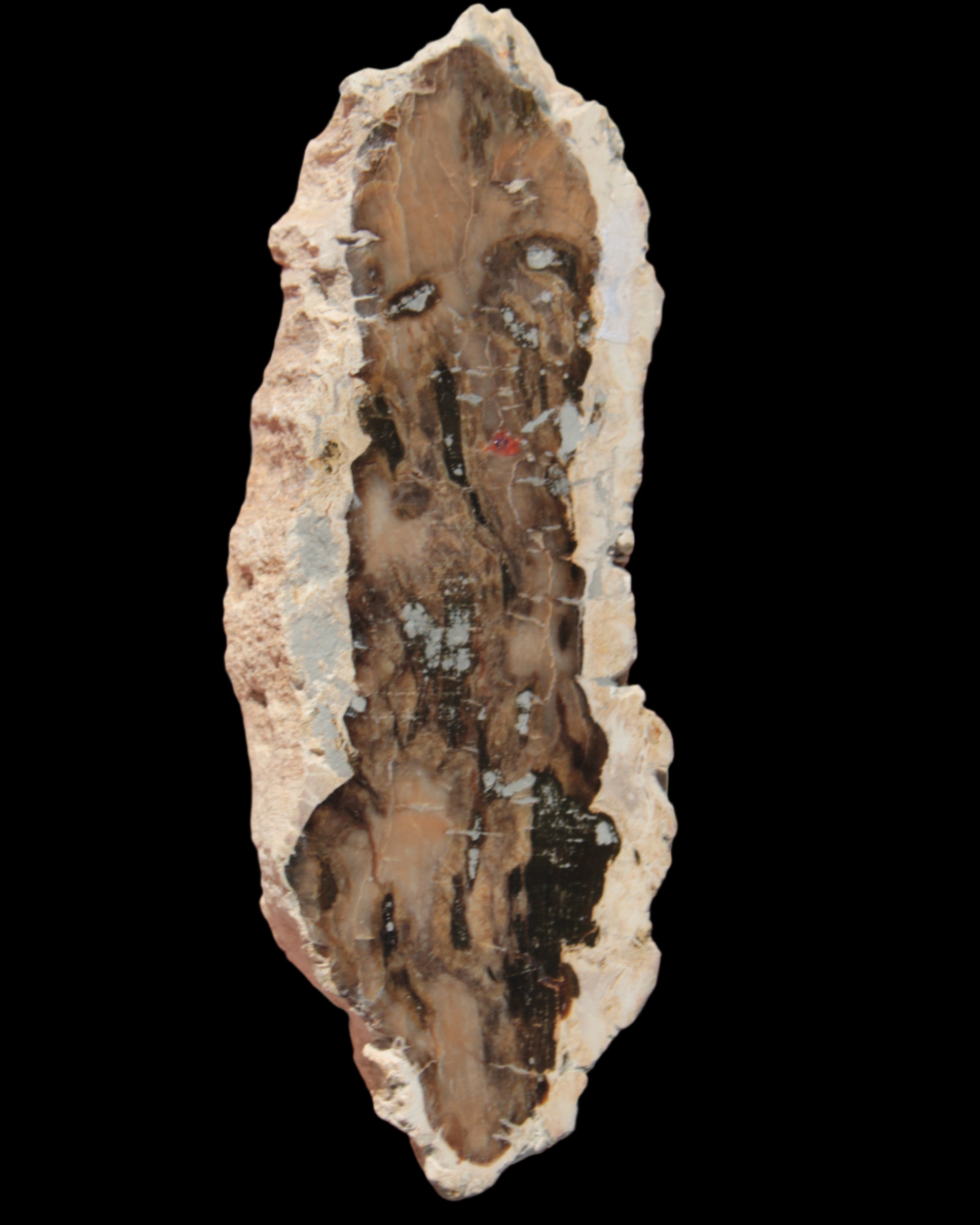 Petrified Wood slice from Madagascar 60g - Rocks and Things Store