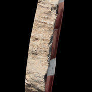 Petrified Wood slice from Madagascar 60g - Rocks and Things Store