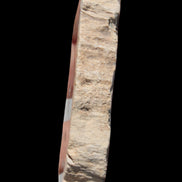 Petrified Wood slice from Madagascar 60g - Rocks and Things Store